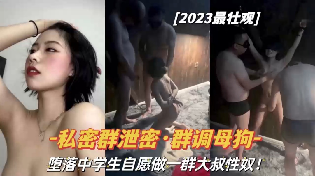 私密泄密群调母狗